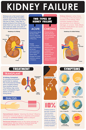 Kidney Failure Infographic